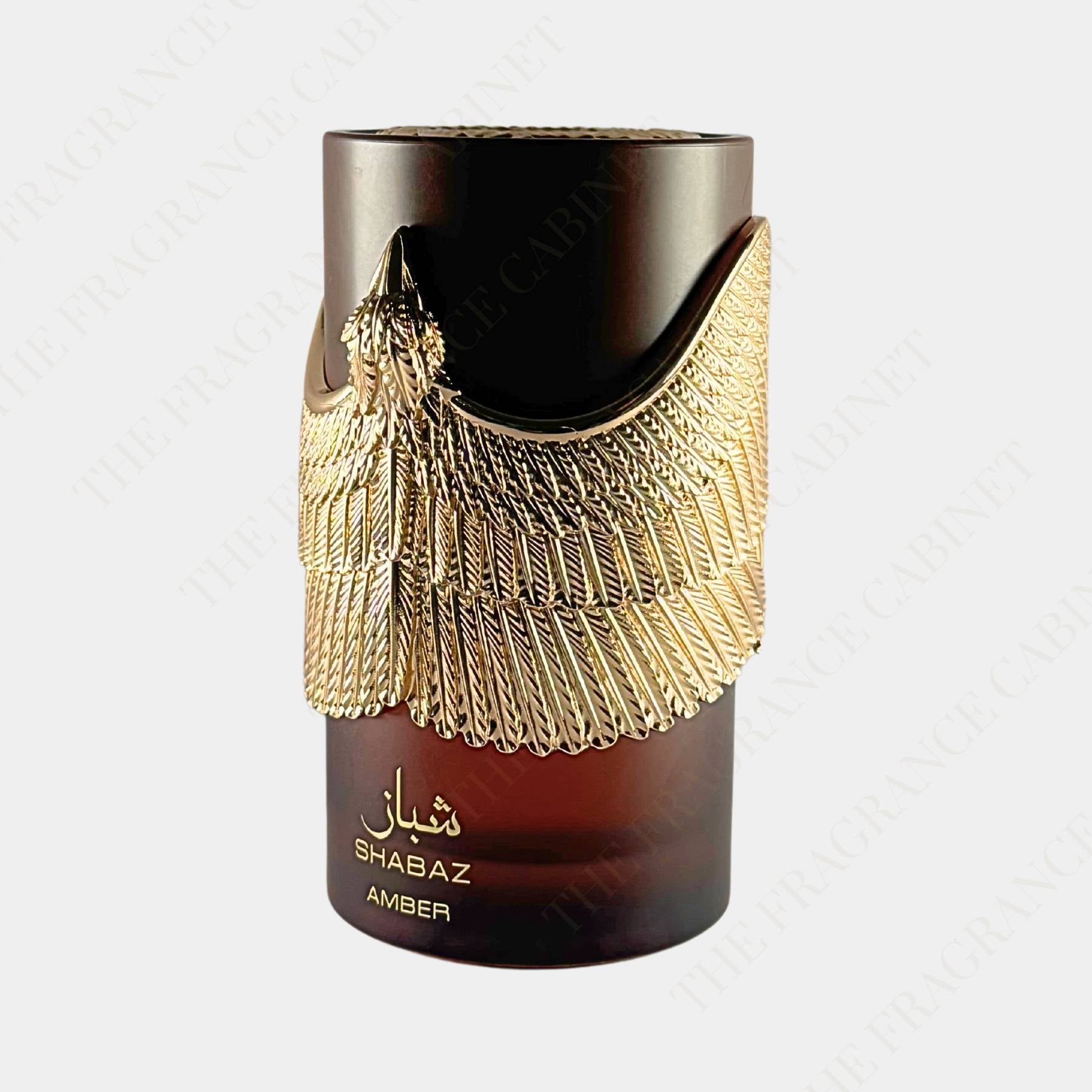 Athoor Al Alam Shabaz Amber 100ml Eau de Parfum