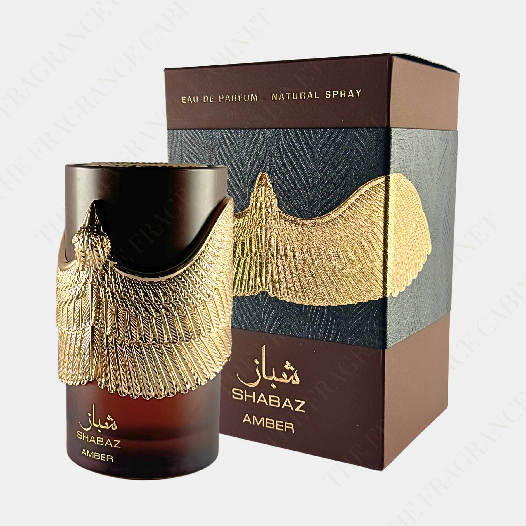 Athoor Al Alam Shabaz Amber 100ml Eau de Parfum
