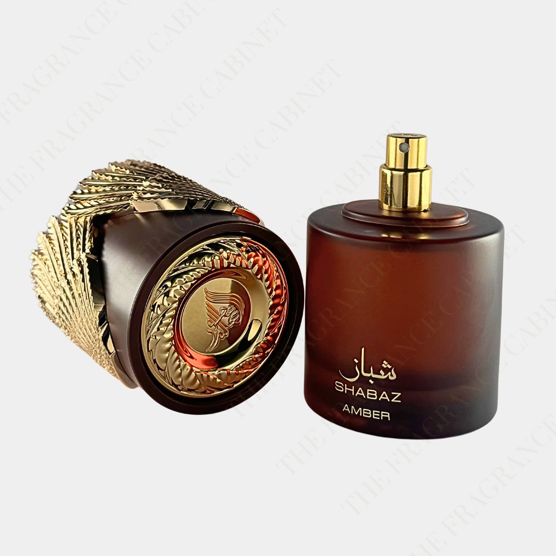 Athoor Al Alam Shabaz Amber 100ml Eau de Parfum