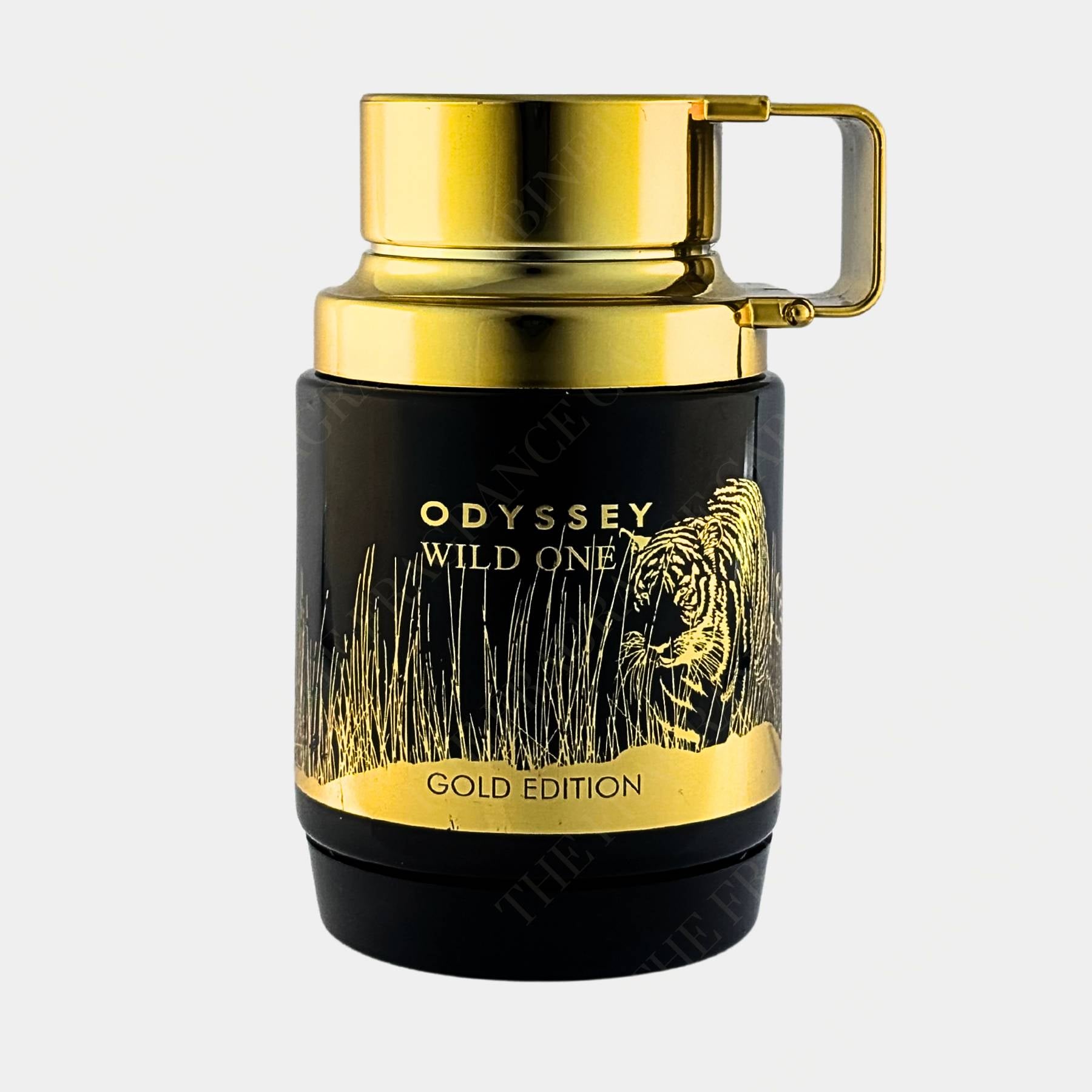 Armaf Odyssey Wild One 100ml Eau de Parfum for men. Front view of bottle