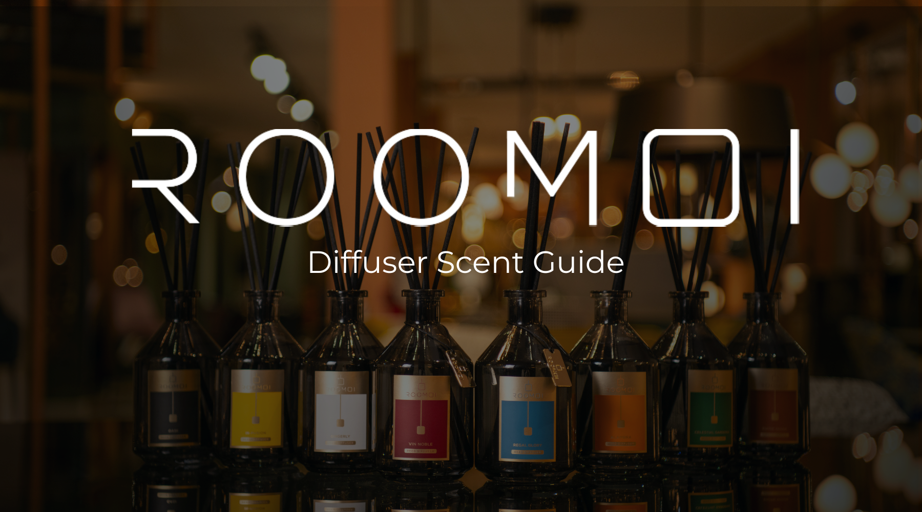 Roomoi Diffusers Guide: What They Smell Like and Which One to Choose