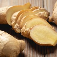 GINGER
