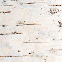 BIRCH