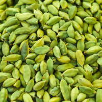 CARDAMOM
