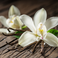VANILLA