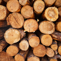 CEDARWOOD