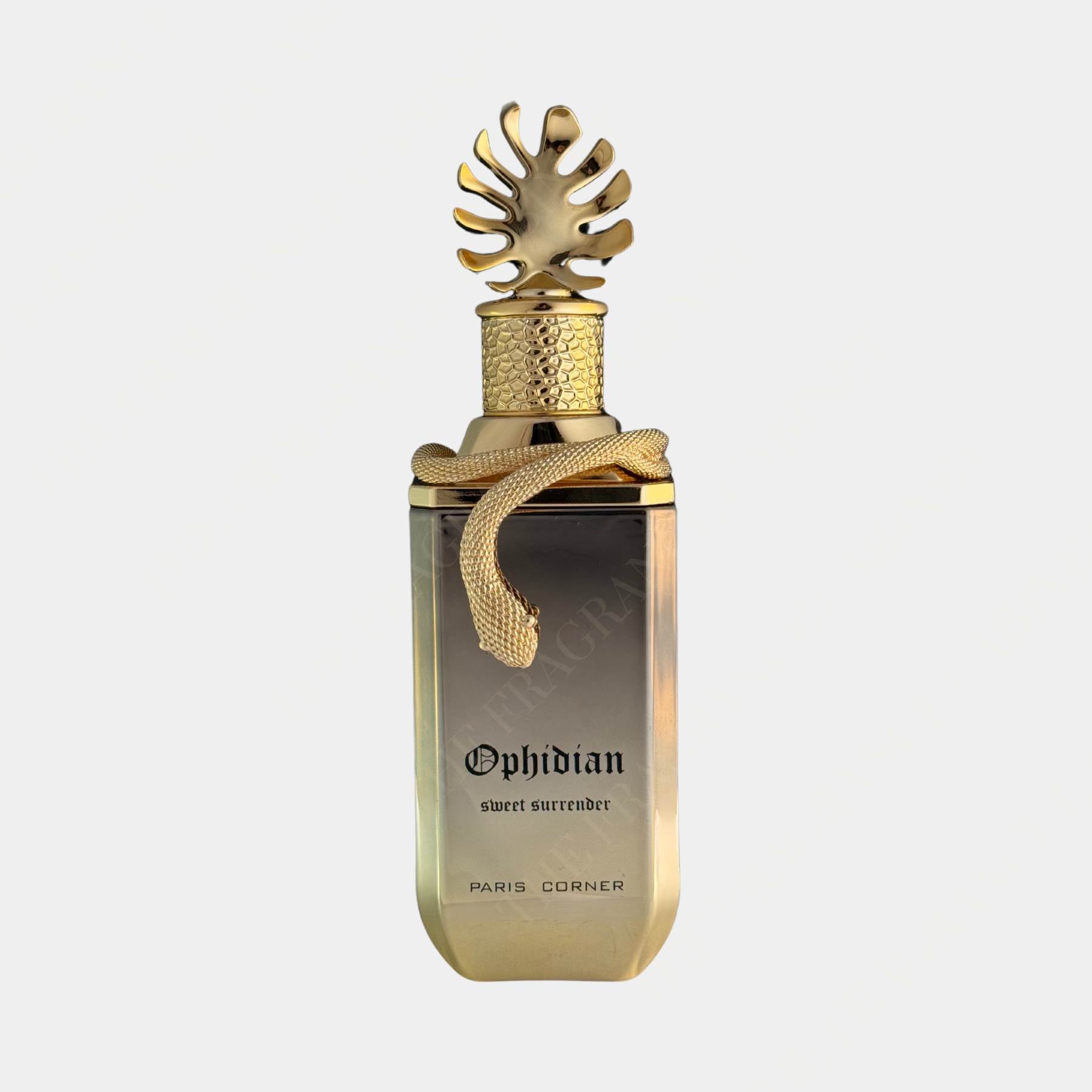 Paris Corner Ophidian Sweet Surrender 100ml Eau De Parfum