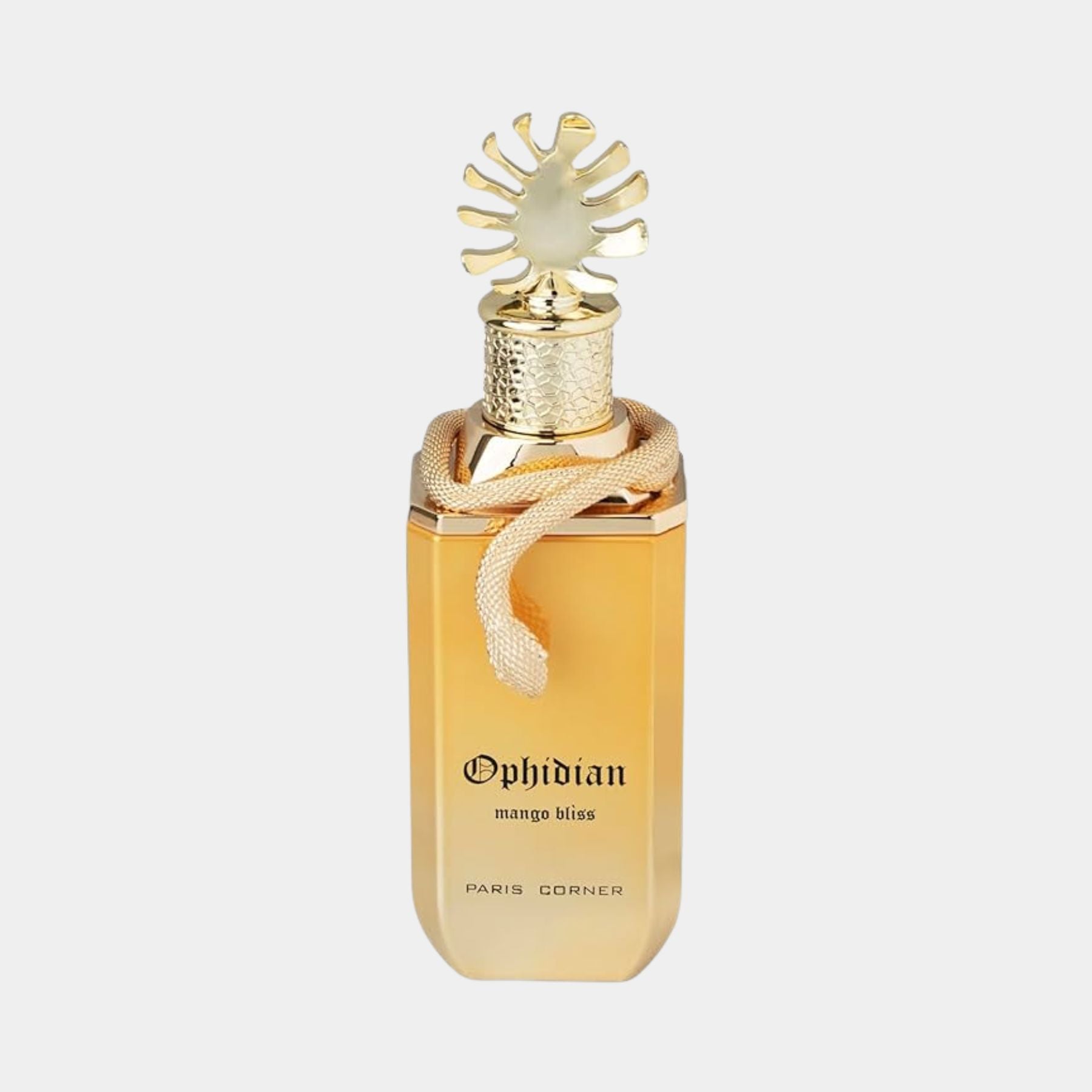 Paris Corner Mango Bliss 100ml eau de parfum front view of bottle 