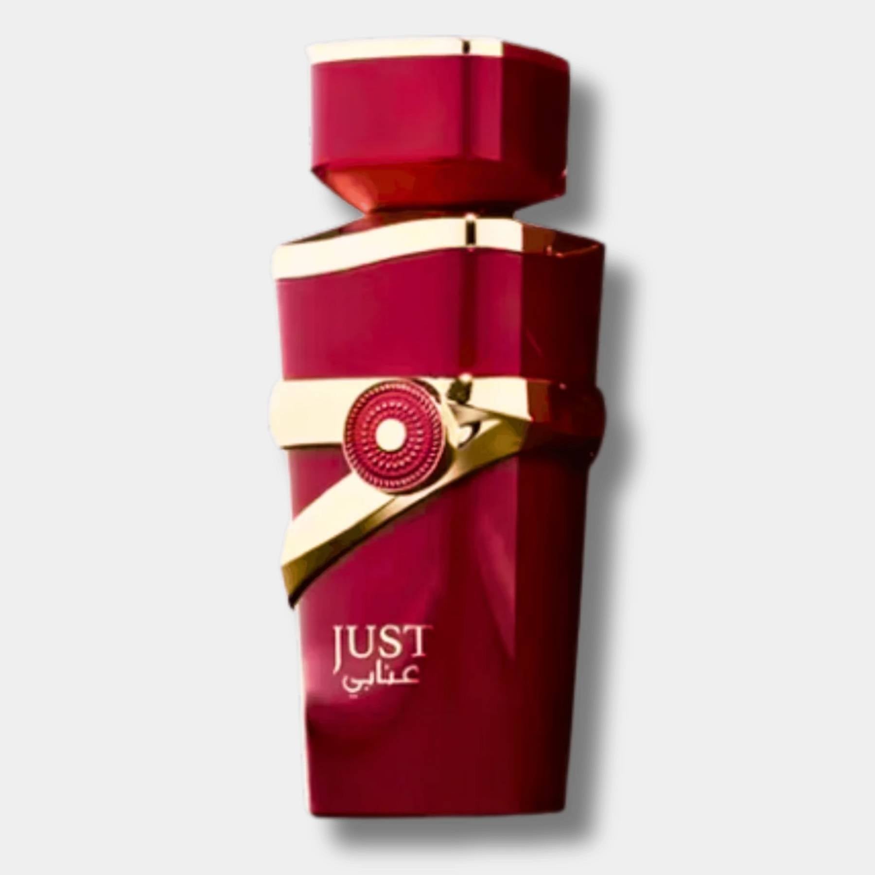 Fragrance World Just Anabi 100ml Eau De Parfum for Men and Women 